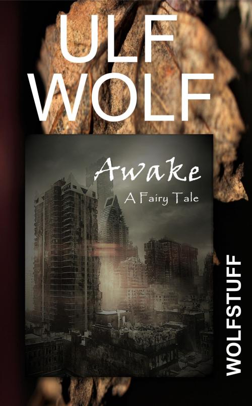 Cover of the book Awake by Ulf Wolf, Ulf Wolf