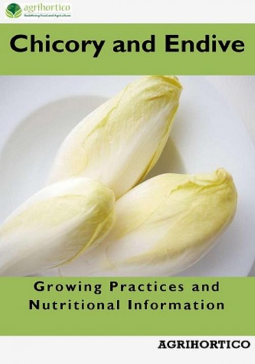 Cover of the book Chicory and Endive: Growing Practices and Nutritional Information by Agrihortico, Agrihortico