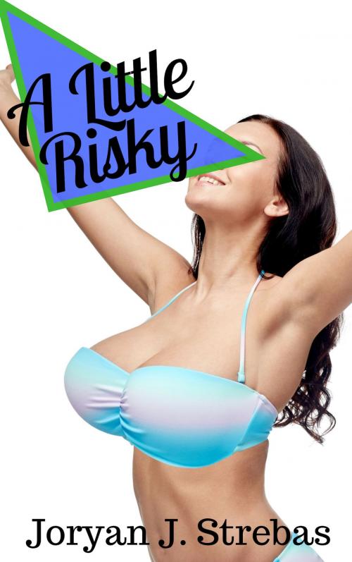 Cover of the book A Little Risky by Joryan J. Strebas, Joryan J. Strebas
