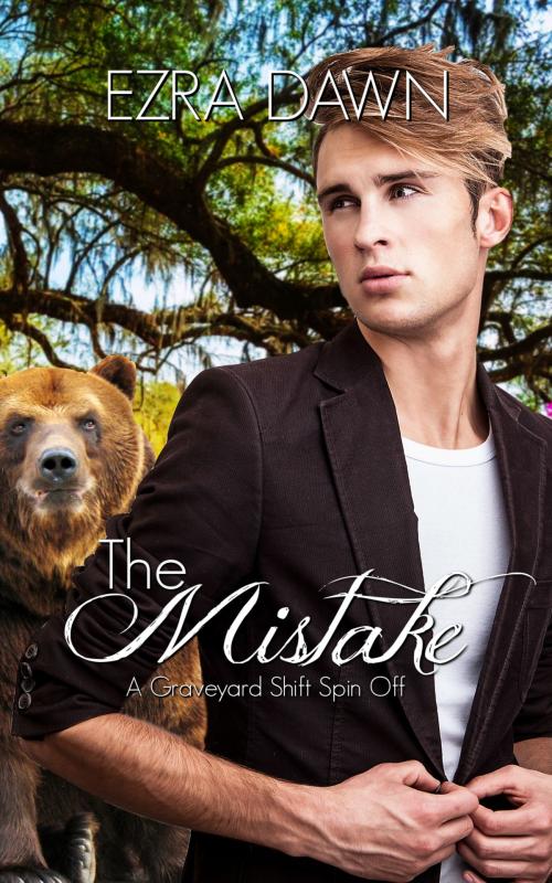 Cover of the book The Mistake by Ezra Dawn, Ezra Dawn