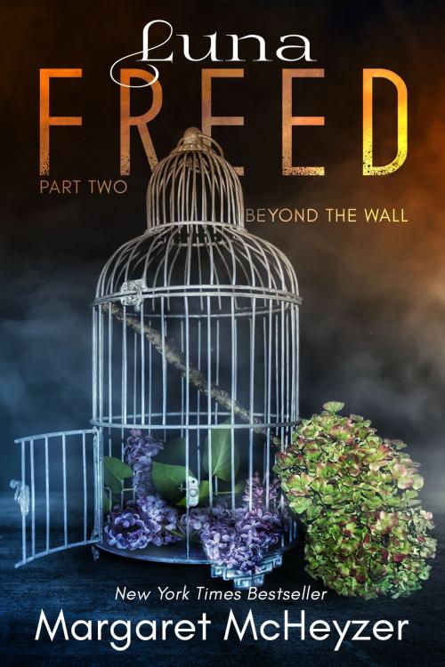 Cover of the book Luna Freed: Beyond the Wall by Margaret McHeyzer, Margaret McHeyzer