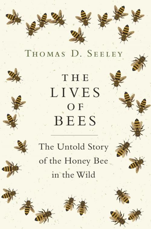 Cover of the book The Lives of Bees by Thomas D Seeley, Princeton University Press