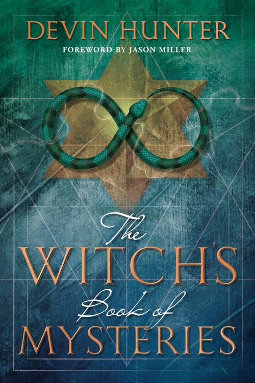 Cover of the book The Witch's Book of Mysteries by Devin Hunter, Llewellyn Worldwide, LTD.