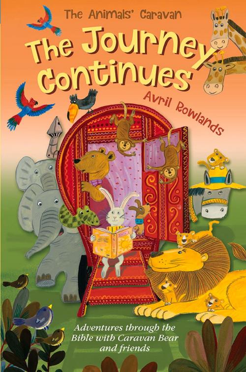 Cover of the book The Journey Continues by Avril Rowlands, Lion Hudson