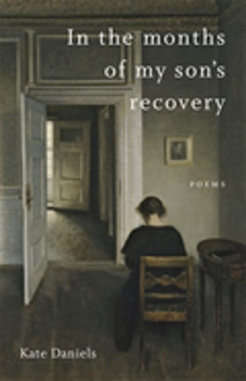Cover of the book In the Months of My Son's Recovery by Kate Daniels, Dave Smith, LSU Press