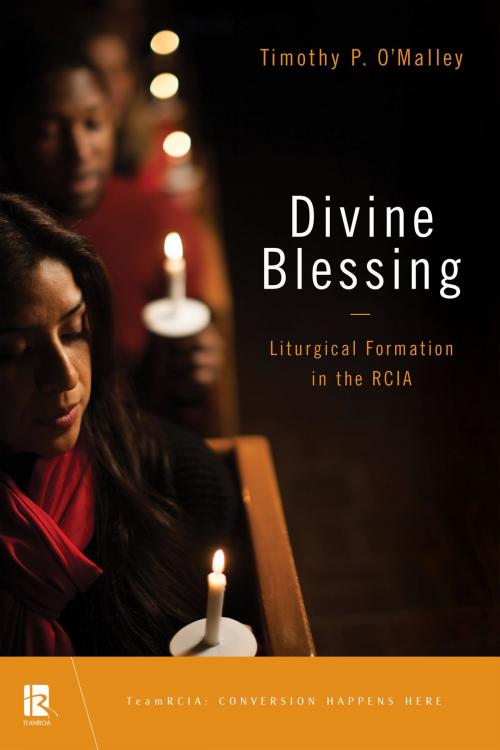 Cover of the book Divine Blessing by Timothy P. O'Malley, Liturgical Press