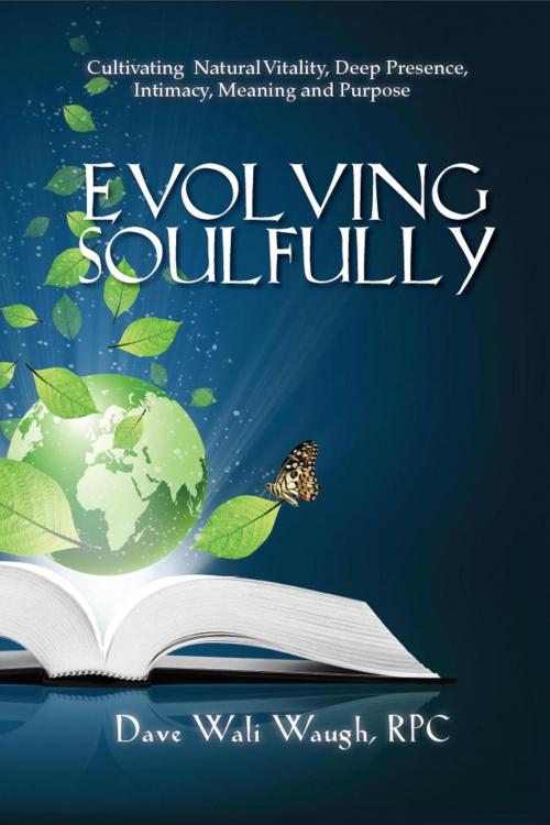 Cover of the book Evolving Soulfully - Cultivating Natural Vitality, Deep Presence, Intimacy, Meaning and Purpose by Dave Waugh, Dave Waugh