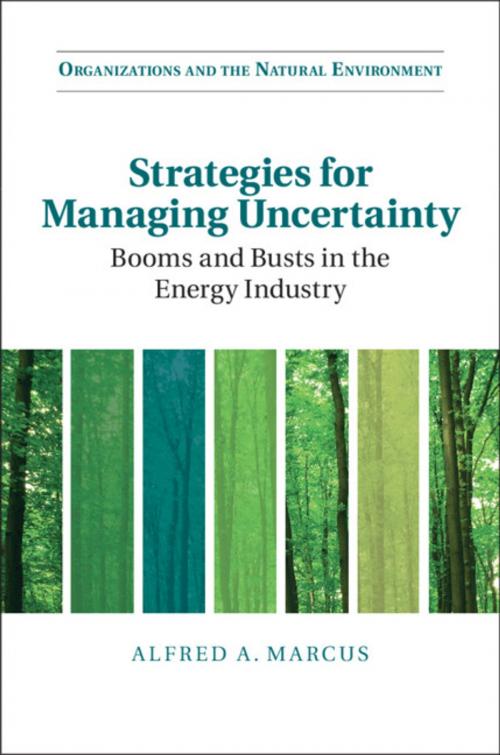 Cover of the book Strategies for Managing Uncertainty by Alfred A. Marcus, Cambridge University Press
