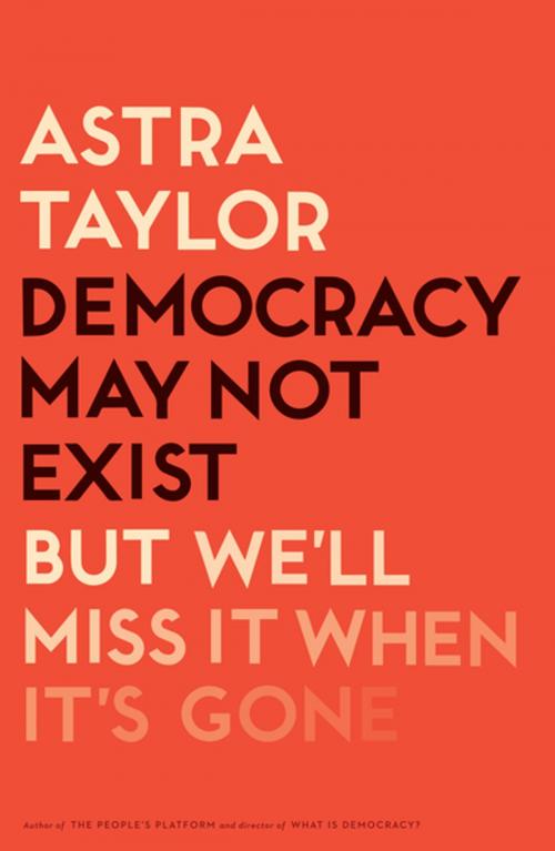 Cover of the book Democracy May Not Exist, but We'll Miss It When It's Gone by Astra Taylor, Henry Holt and Co.