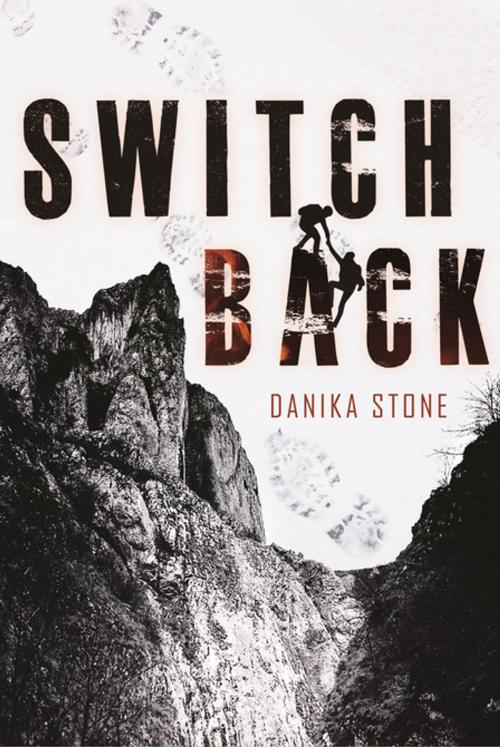 Cover of the book Switchback by Danika Stone, Feiwel & Friends