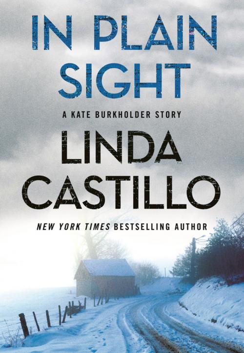 Cover of the book In Plain Sight by Linda Castillo, St. Martin's Press