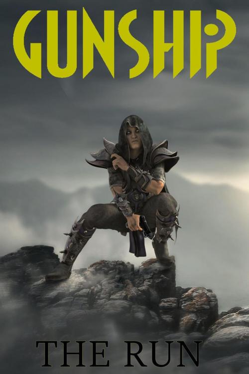 Cover of the book Gunship: The Run by John M. Davis, Book Commander