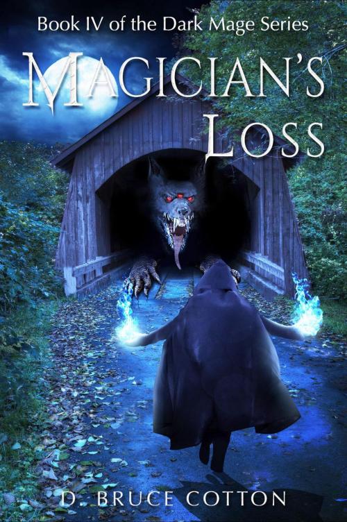 Cover of the book Magician's Loss by D. Bruce Cotton, D. Bruce Cotton