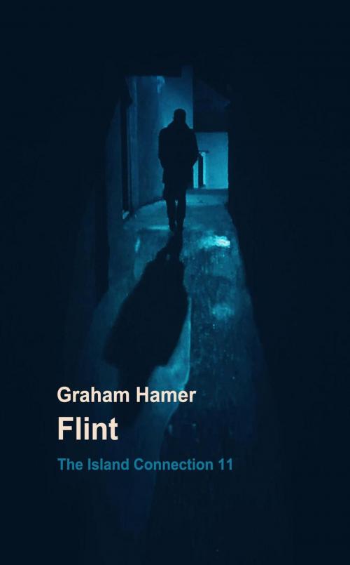 Cover of the book Flint by Graham Hamer, Graham Hamer