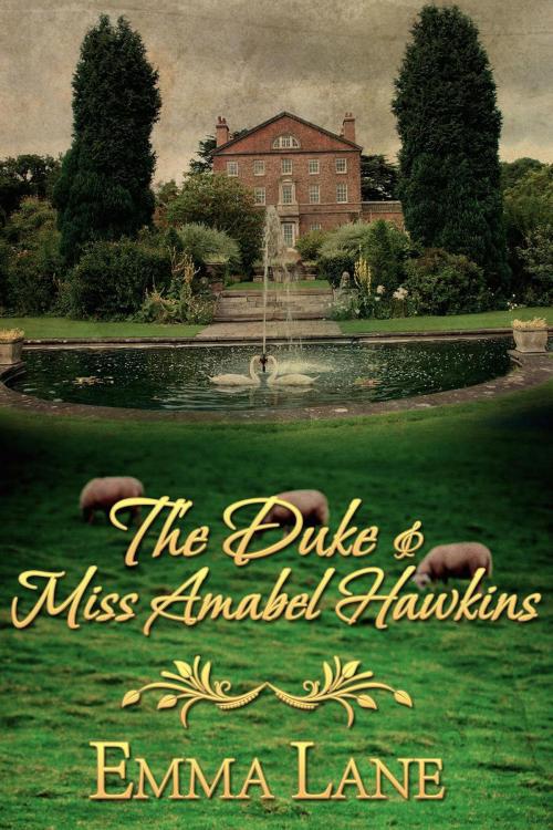 Cover of the book The Duke and Miss Amabel Hawkins by Emma Lane, Emma Lane