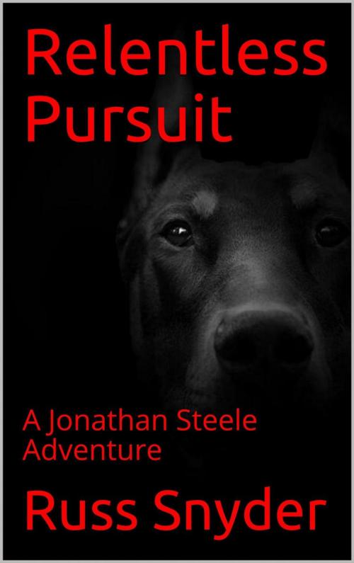 Cover of the book Relentless Pursuit by Russ Snyder, Russ Snyder