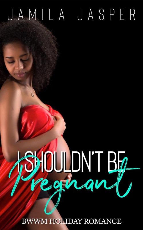 Cover of the book I Shouldn't Be Pregnant by Jamila Jasper, Jamila Jasper