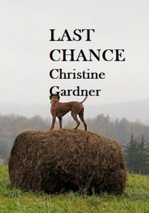Cover of the book Last Chance by Christine Gardner, Christine Gardner
