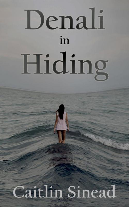 Cover of the book Denali in Hiding by Caitlin Sinead, Caitlin Sinead