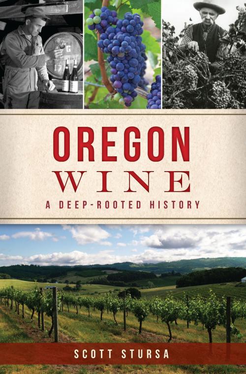 Cover of the book Oregon Wine by Scott Stursa, Arcadia Publishing Inc.
