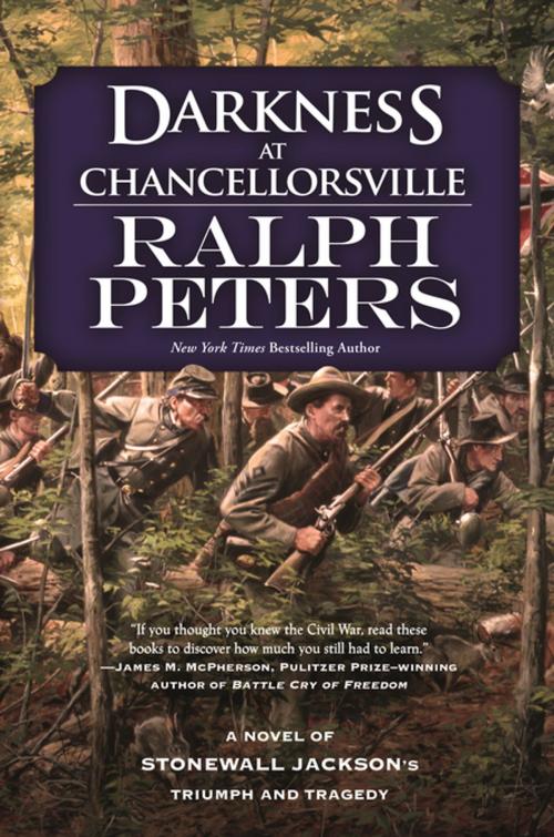 Cover of the book Darkness at Chancellorsville by Ralph Peters, Tom Doherty Associates