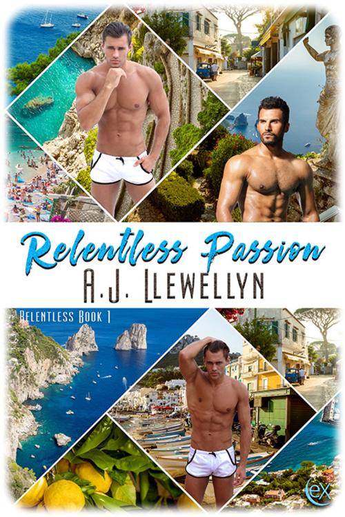 Cover of the book Relentless Passion by A. J. Llewellyn, eXtasy Books Inc