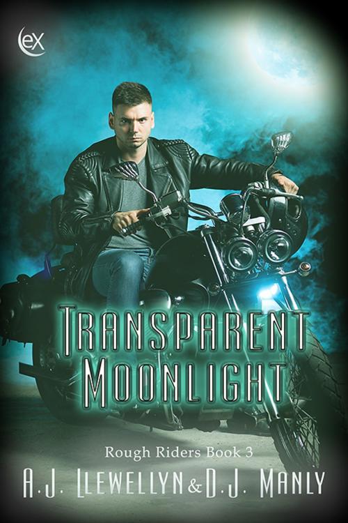 Cover of the book Transparent Moonlight by A. J. Llewellyn, D. J. Manly, eXtasy Books Inc