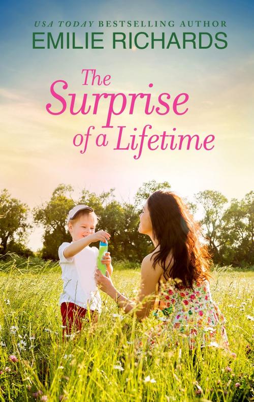 Cover of the book The Surprise of a Lifetime by Emilie Richards, Harlequin