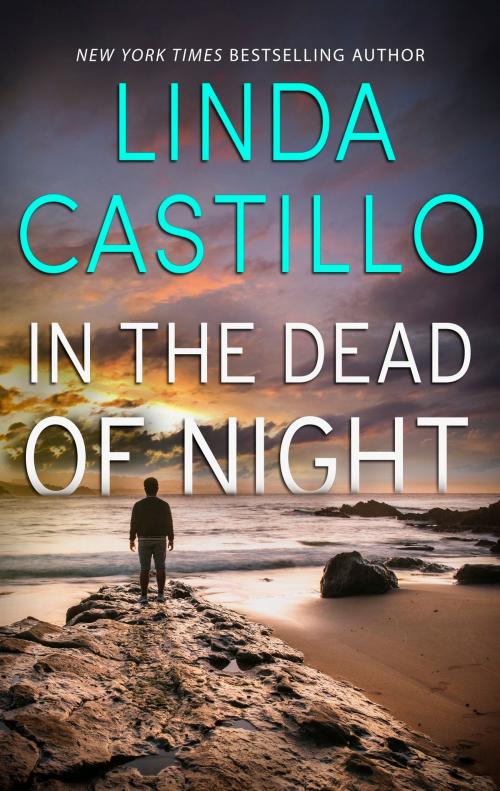 Cover of the book In the Dead of Night by Linda Castillo, Harlequin