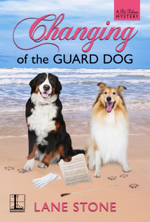 Cover of the book Changing of the Guard Dog by Lane Stone, Lyrical Press