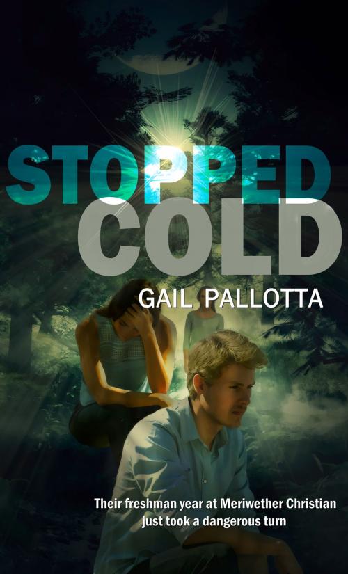Cover of the book Stopped Cold by Gail Pallotta, Pelican Book Group