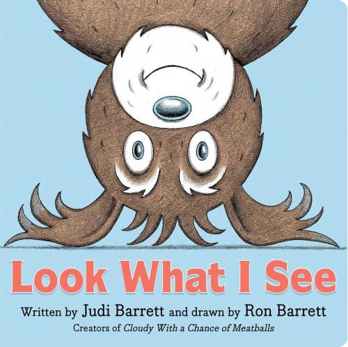 Cover of the book Look What I See by Judi Barrett, Little Simon