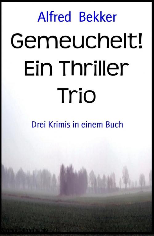 Cover of the book Gemeuchelt! Ein Thriller Trio: Drei Krimis in einem Buch by Alfred Bekker, Alfred Bekker