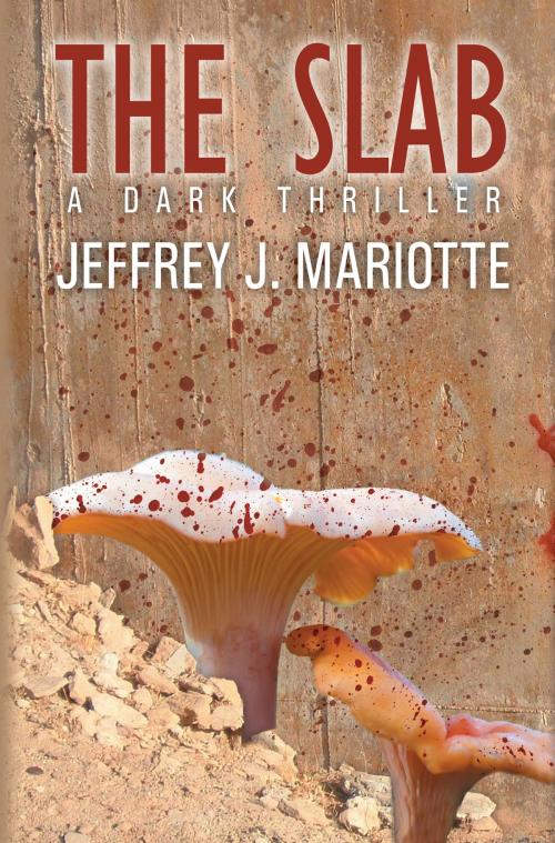 Cover of the book The Slab by Jeffrey J. Mariotte, WordFire Press