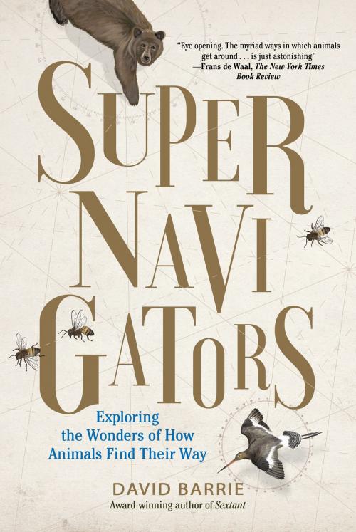 Cover of the book Supernavigators by David Barrie, The Experiment