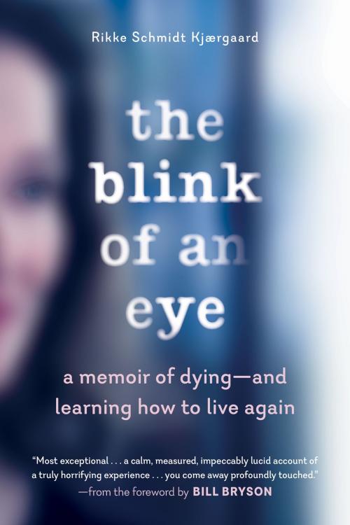 Cover of the book The Blink of an Eye by Rikke Schmidt Kjærgaard, The Experiment