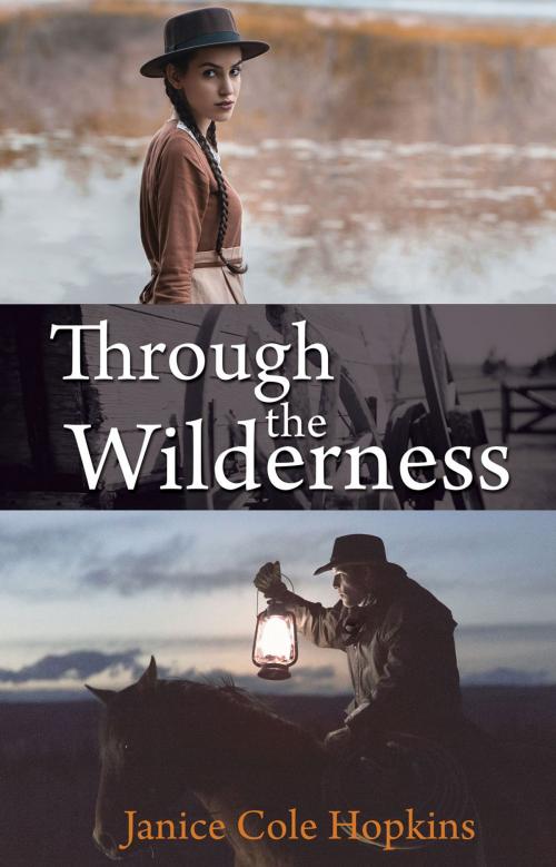 Cover of the book Through the Wilderness by Janice Cole Hopkins, Ambassador International