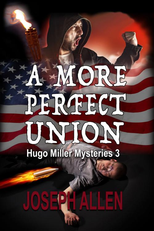 Cover of the book A More Perfect Union by Joseph Allen, Rogue Phoenix Press