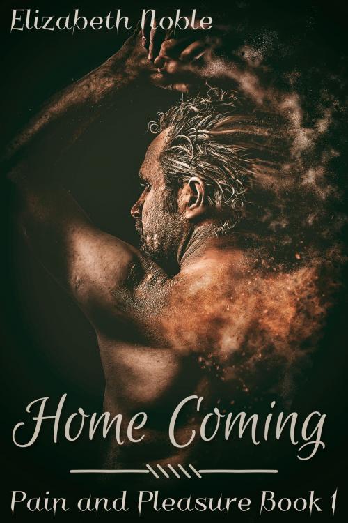 Cover of the book Home Coming by Elizabeth Noble, JMS Books LLC