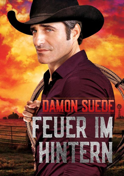 Cover of the book Feuer im Hintern by Damon Suede, Dreamspinner Press