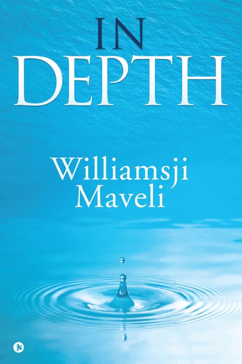 Cover of the book In Depth by WILLIAMSJI MAVELI, Notion Press