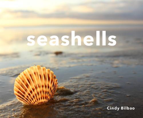 Cover of the book Seashells by Cindy Bilbao, Countryman Press