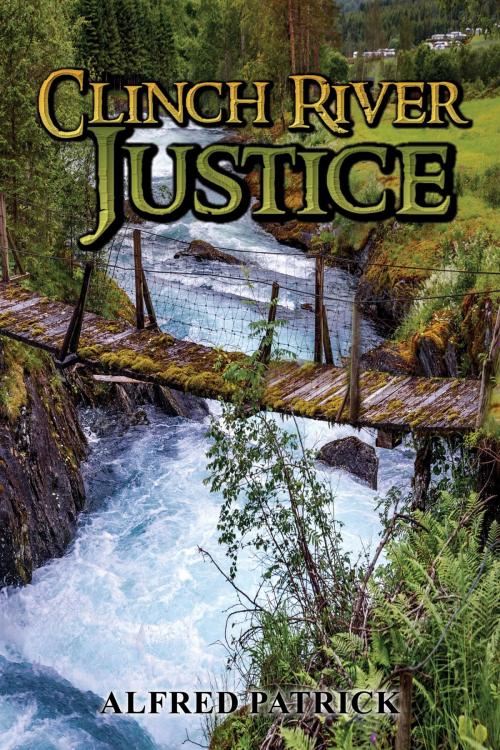 Cover of the book Clinch River Justice by ALFRED PATRICK, Toplink Publishing, LLC