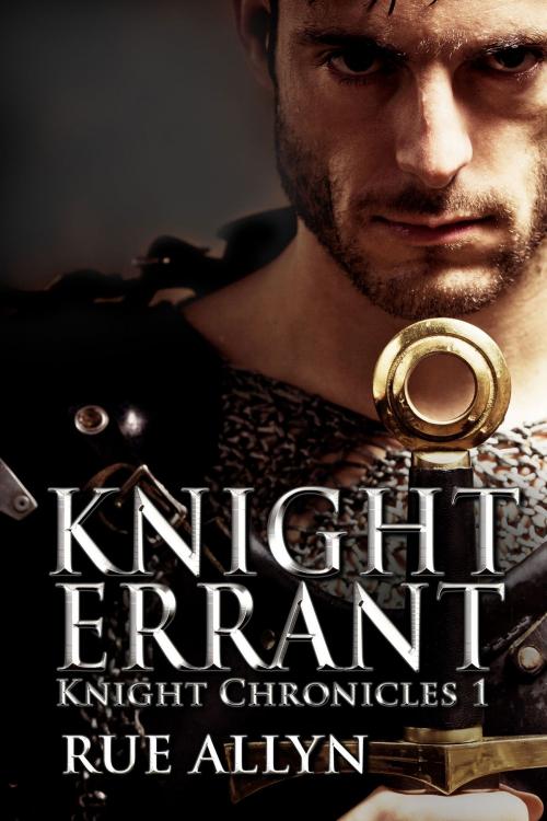 Cover of the book Knight Errant by Rue Allyn, Rue Allyn