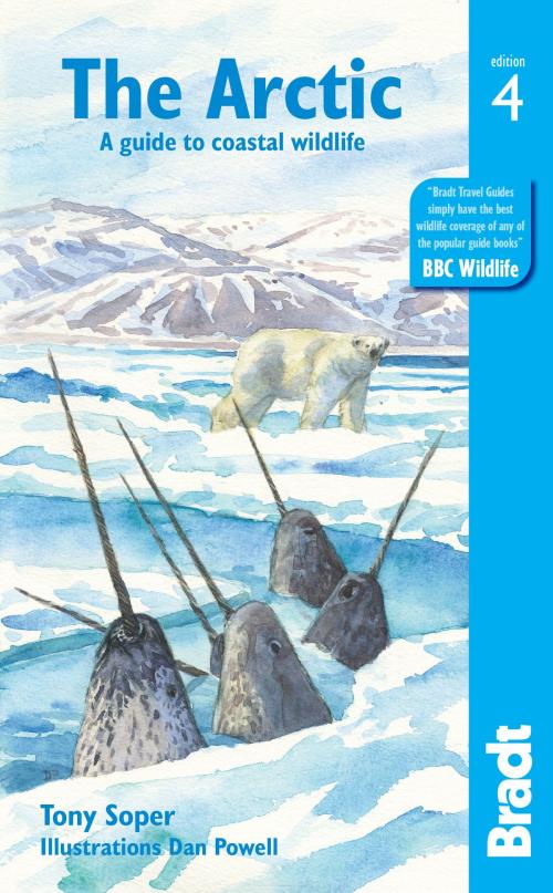 Cover of the book Arctic: A guide to coastal wildlife by Tony Soper, Dan Powell, Bradt Travel Guides Ltd