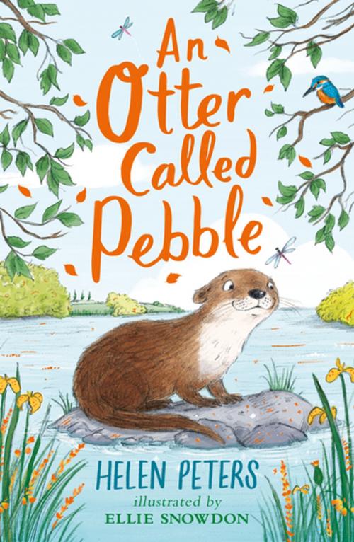 Cover of the book An Otter Called Pebble by Helen Peters, Nosy Crow