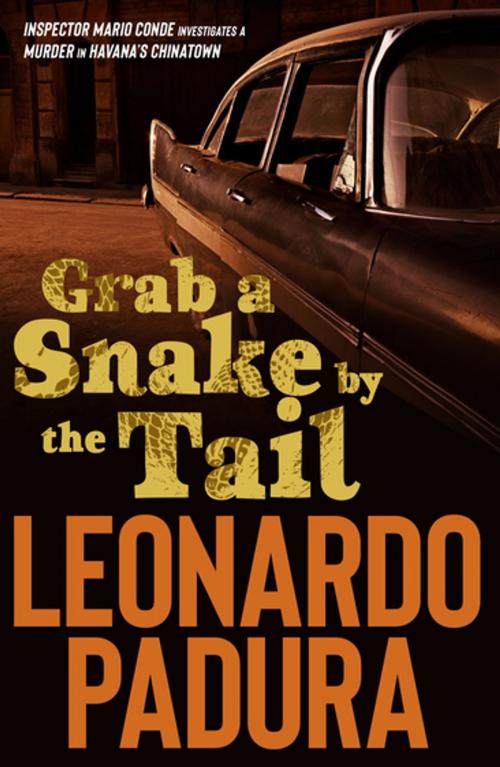 Cover of the book Grab a Snake by the Tail by Leonardo Padura, Bitter Lemon Press