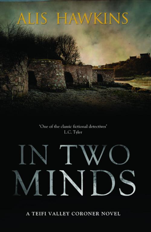 Cover of the book In Two Minds by Alis Hawkins, The Dome Press