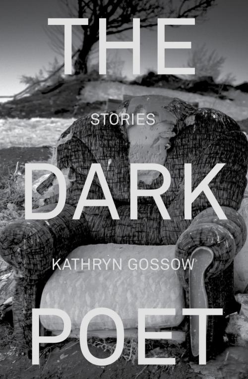 Cover of the book The Dark Poet by Kathryn Gossow, Odyssey Books