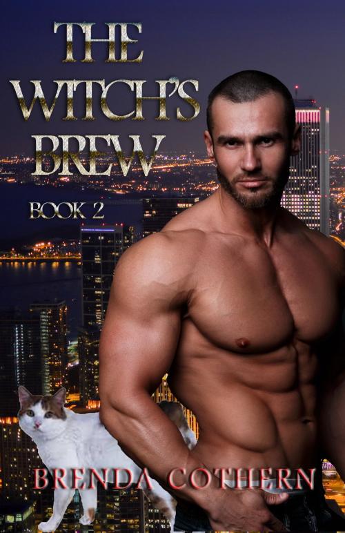 Cover of the book The Witch's Brew 2 by Brenda Cothern, Brenda Cothern